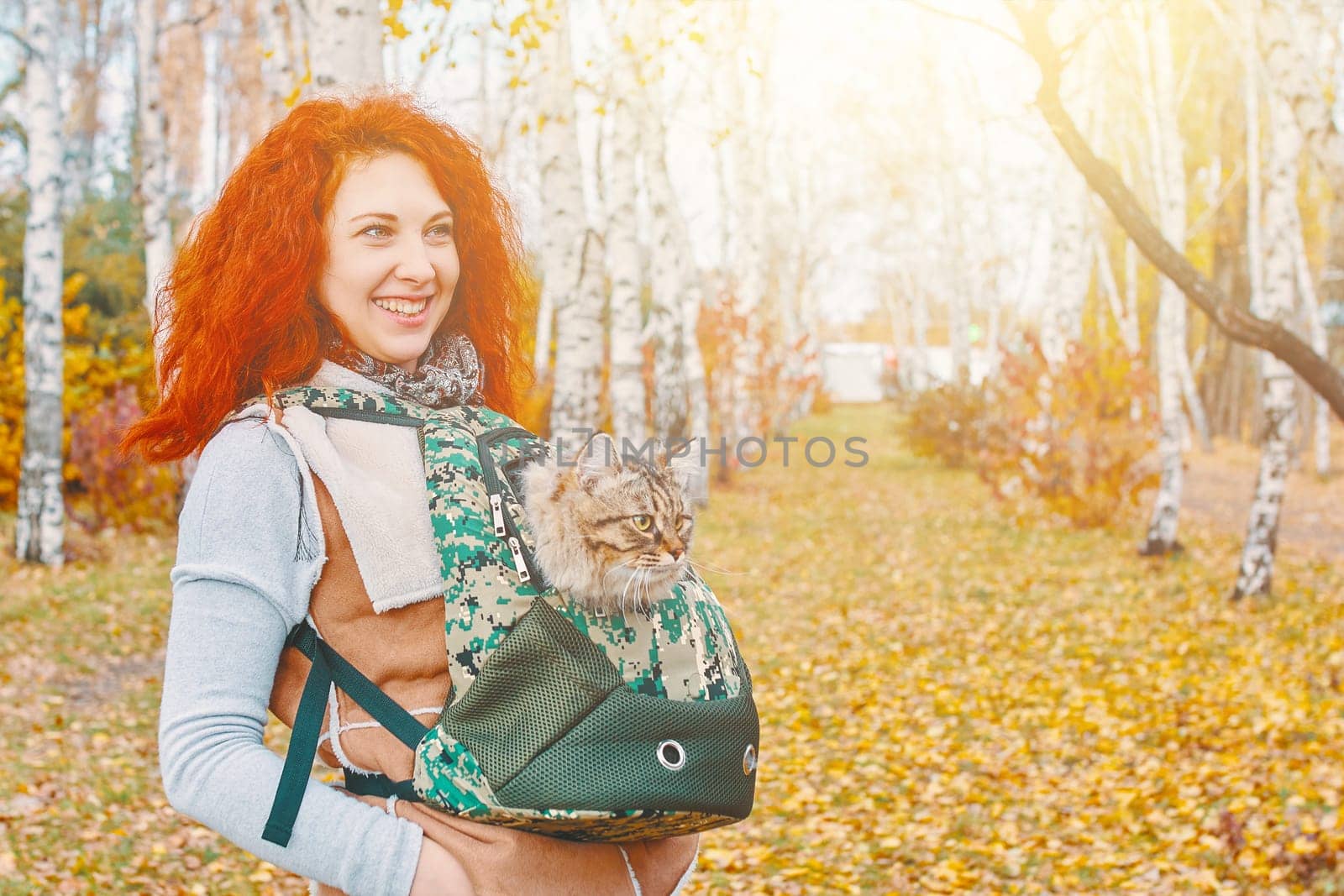 Tabby cat in a bag. The cat went for a walk in his travel bag.