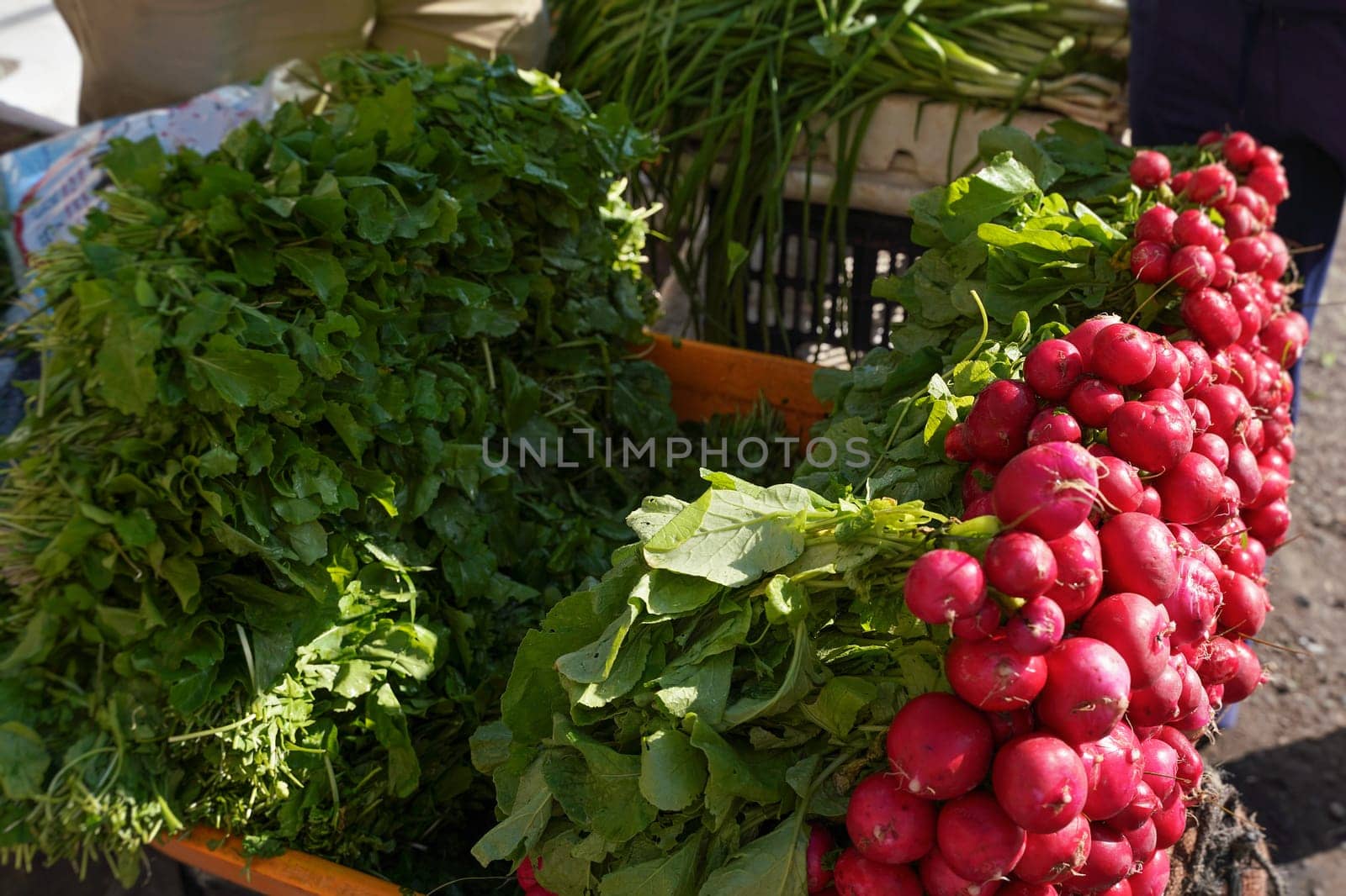 Large heap of fresh red radish vegetable with green leaves displayed on street market - fruit and vegetables are usually sold on streets at Jordan