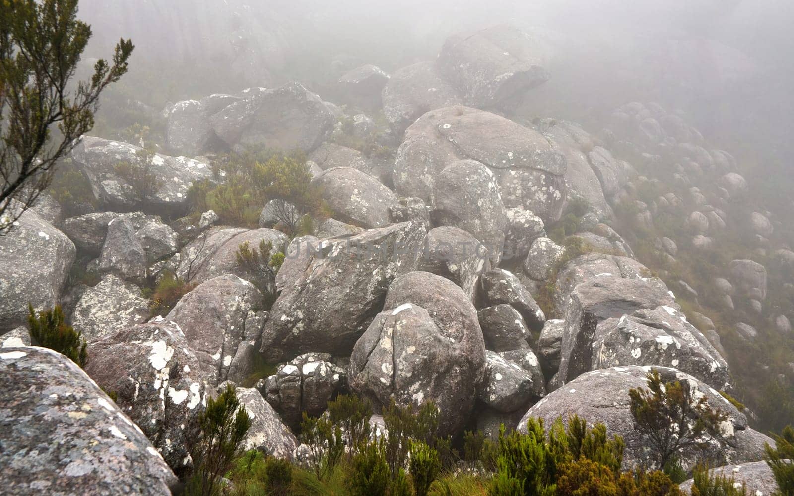 Large round stones covered with moss, grass growing around, mist background, typical scenery seen during trek to Pic Boby in Andringitra, Madagascar