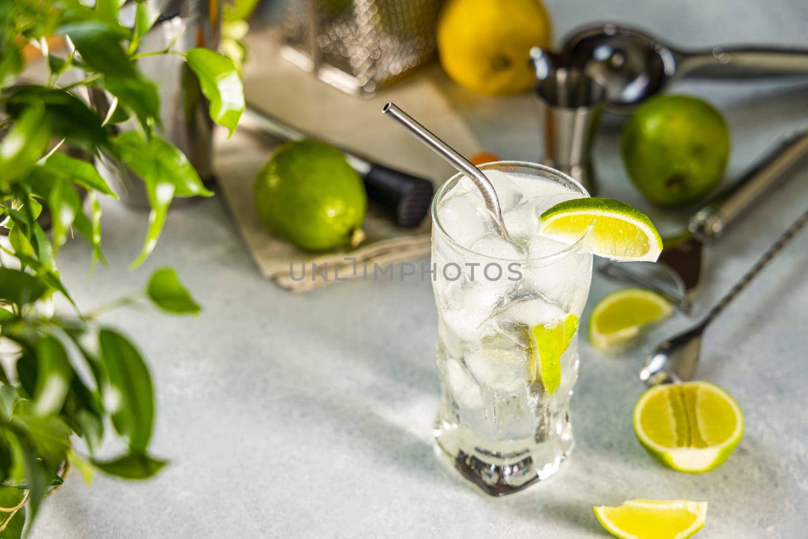 Gin and tonic cocktail is being prepared with fresh lime and ice, showcasing bar accessories and a green plant