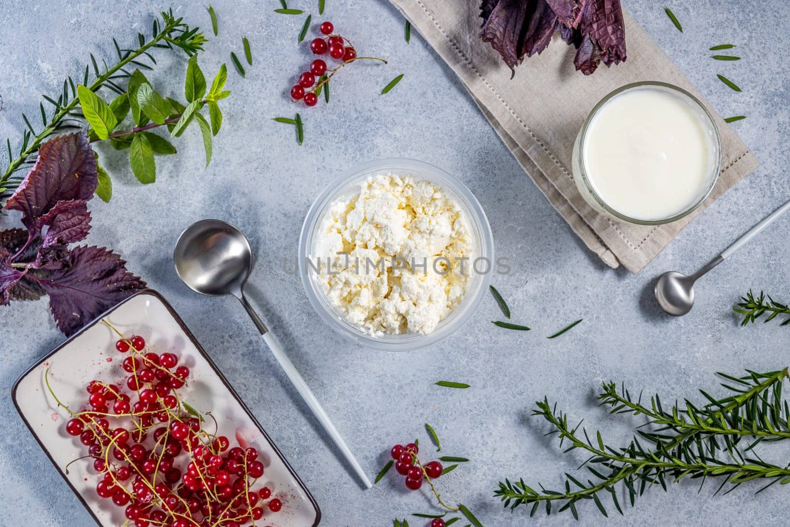 Fresh cottage cheese, yogurt, redcurrant, and aromatic herbs are arranged on a gray background, composing a healthy and appetizing culinary scene