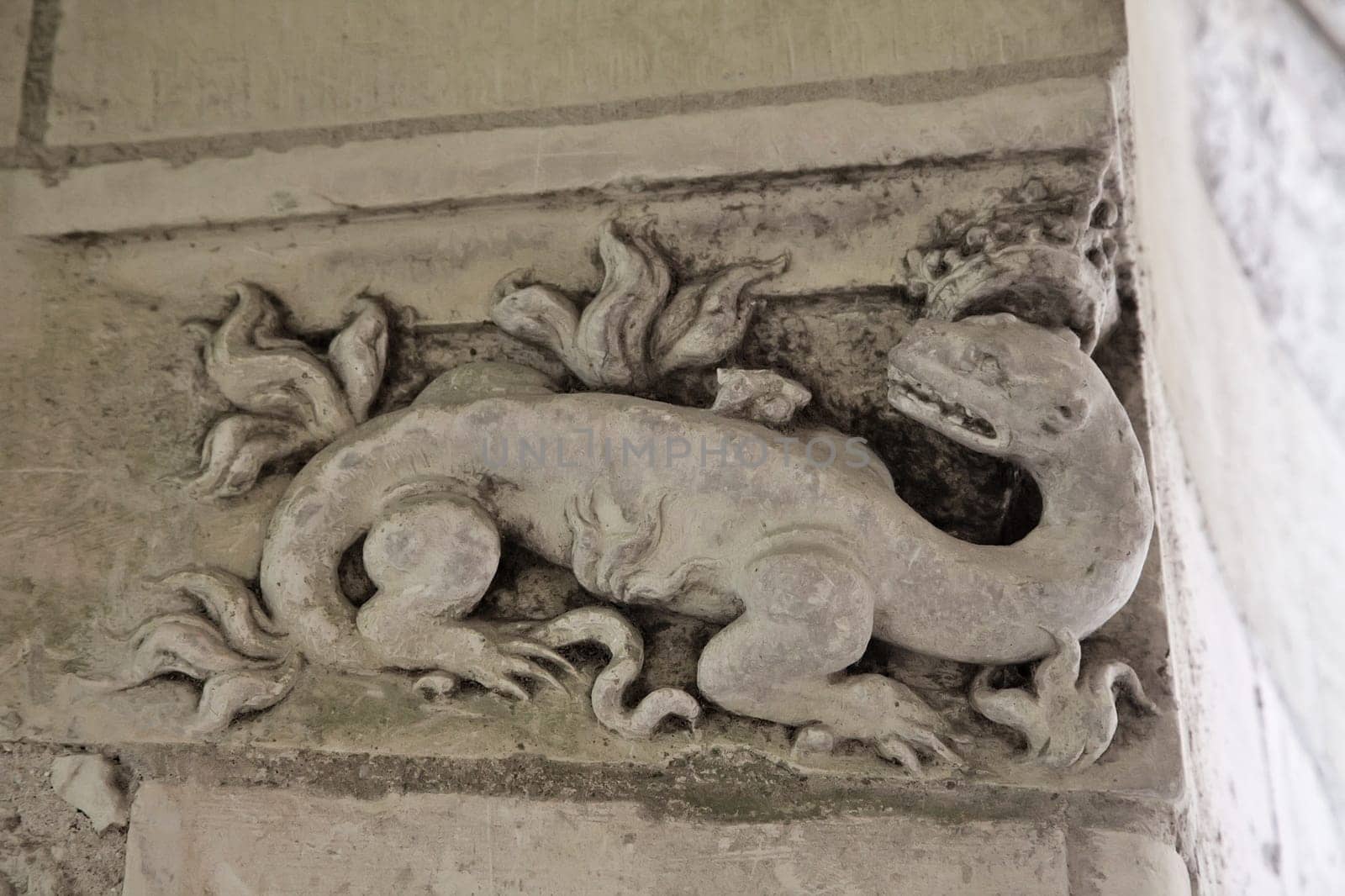 Intricate stone carving featuring a mythical creature found in Chamborg Castle, showcasing medieval artistry and design.