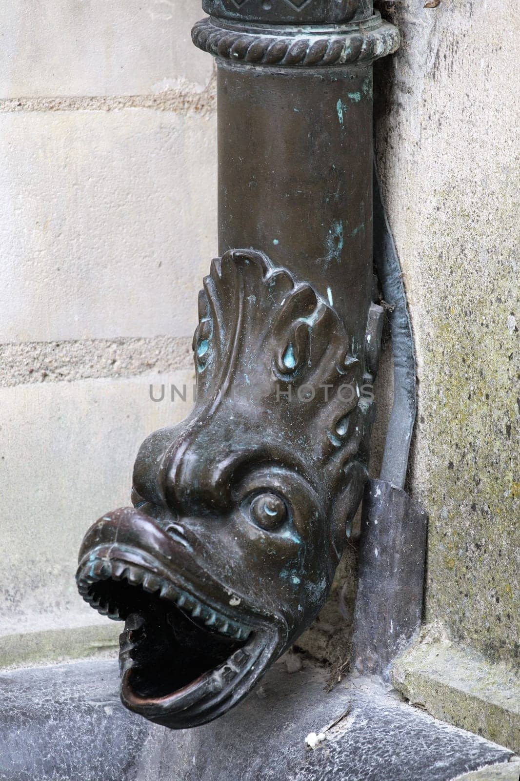 Ornate downspout featuring a dragon design enhances the historical architecture of Chamborg castle in France.