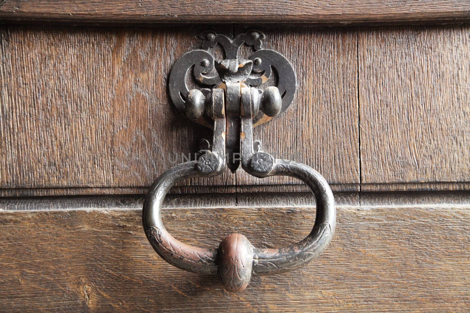 The focus is on a vintage door knocker meticulously crafted, showcasing the artistry of Chamborg castle in France.