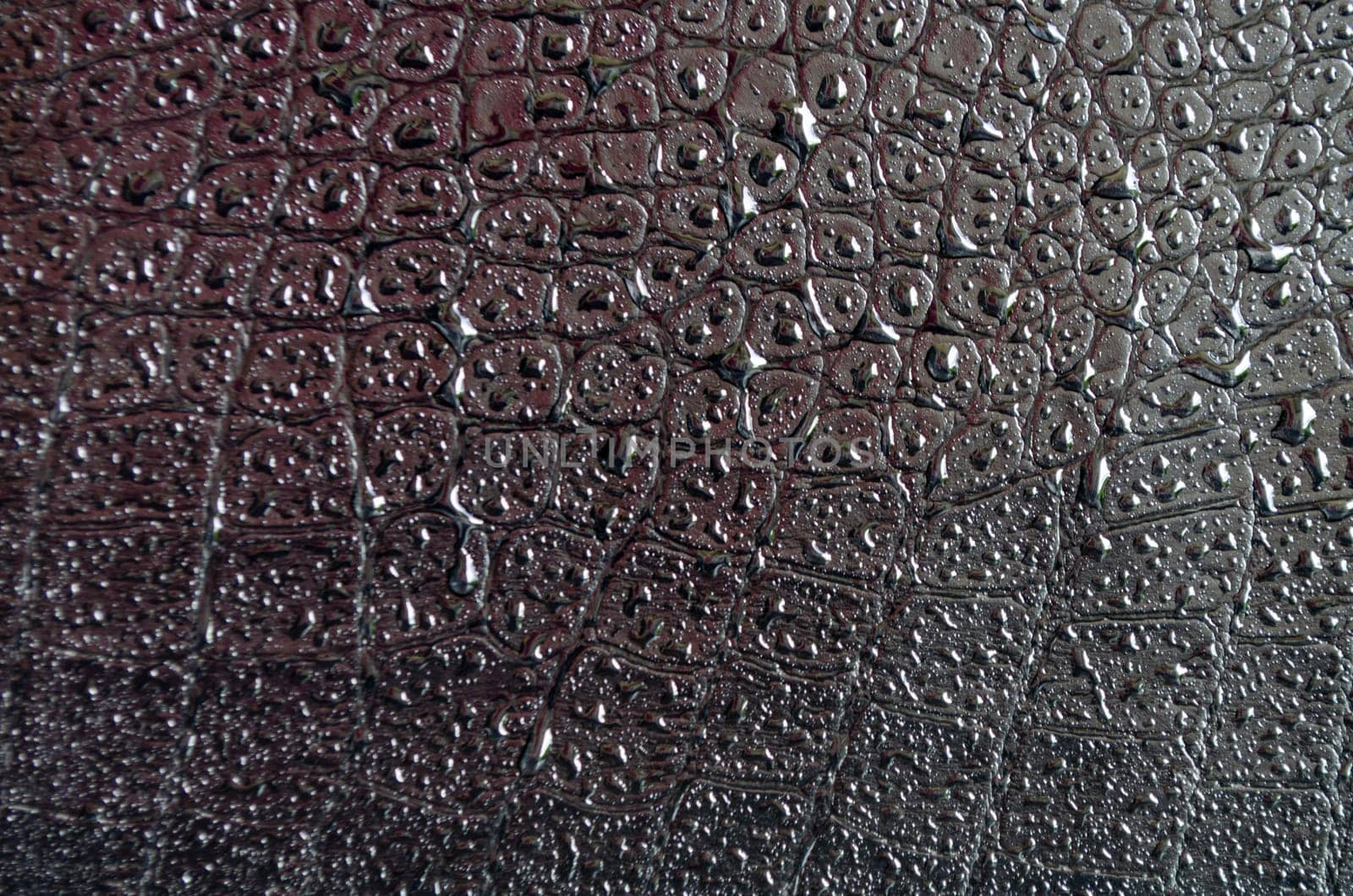 Droplets on black crocodile leather skin background with customizable space for text or for mockup.