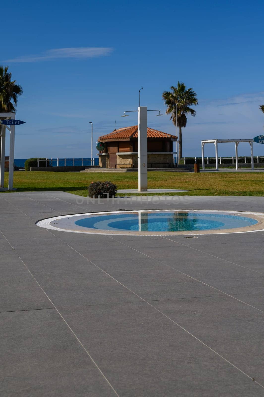Enjoying a sunny day at a coastal park featuring a serene pool, green grass, and swaying palm trees by the sea.