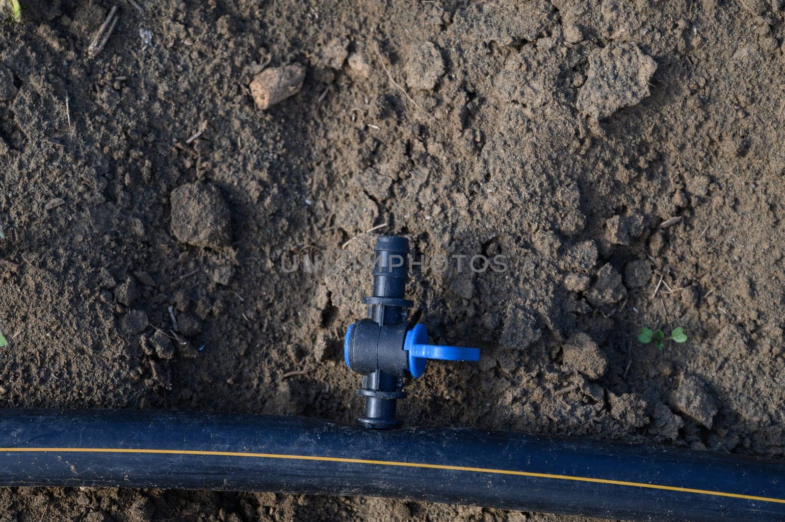 A black irrigation pipe with a blue valve rests on dry soil, showcasing efficient water management in agriculture.