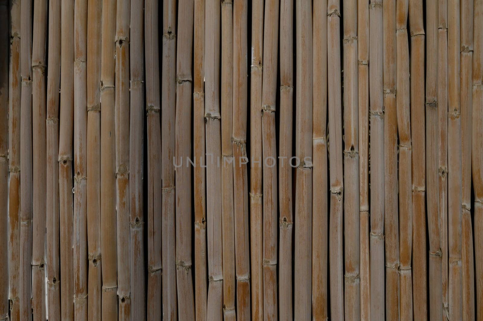 Vertical bamboo planks stand closely together, showcasing nature's texture and warm tones in a tranquil setting.