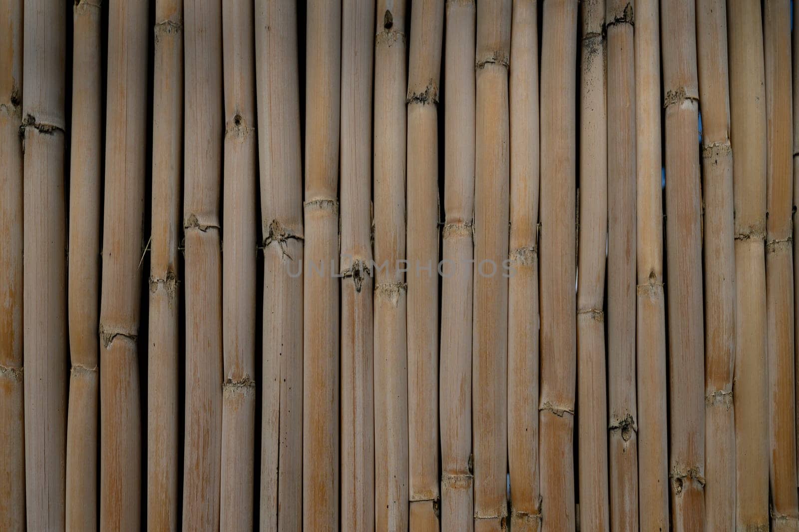 Natural bamboo strips form a charming, rustic wall inviting relaxation and tranquility in a serene environment.