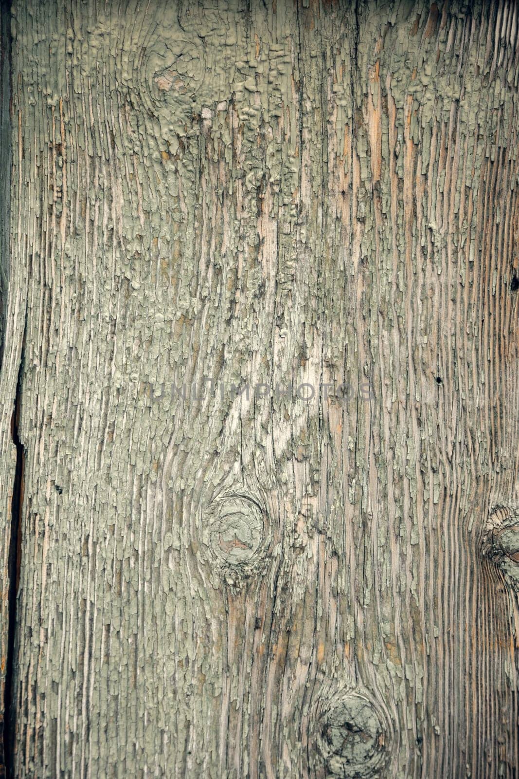 A highly detailed close-up of a weathered wooden surface with peeling paint and natural wood grain texture. Ideal for backgrounds, vintage aesthetics, and rustic design elements