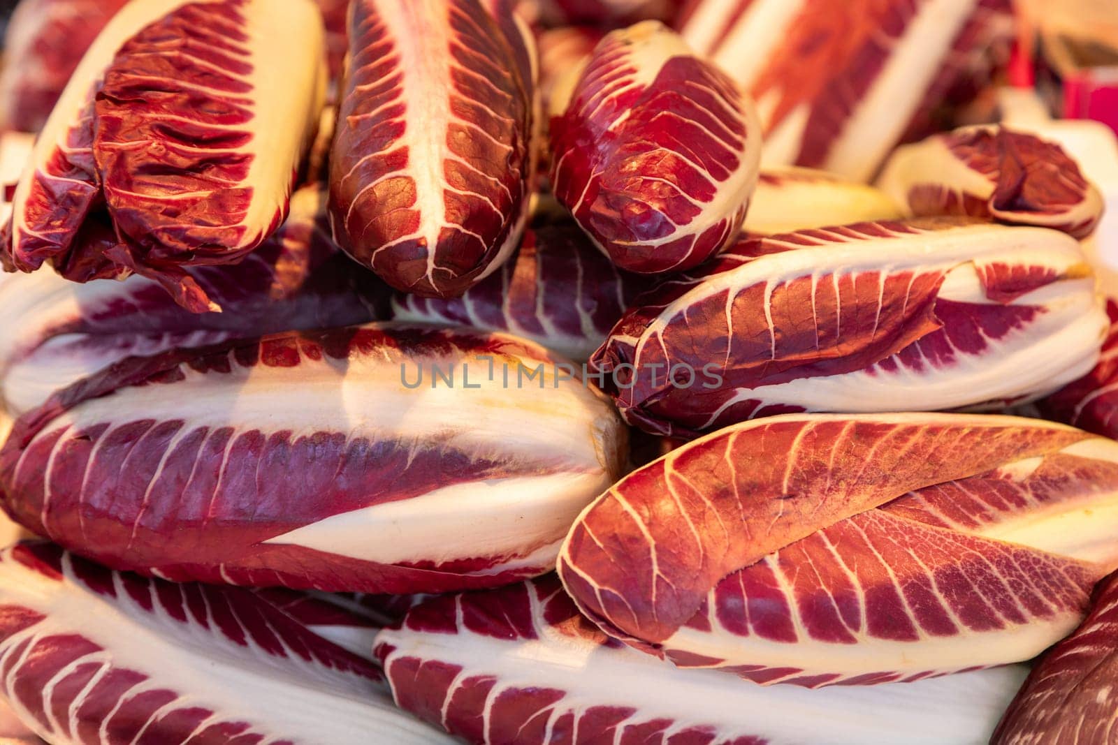 Crisp radicchio chicory with striking red and white leaves arranged at a farmers market. Ideal for food photography, farm-fresh produce, gourmet salads, and healthy eating concepts.