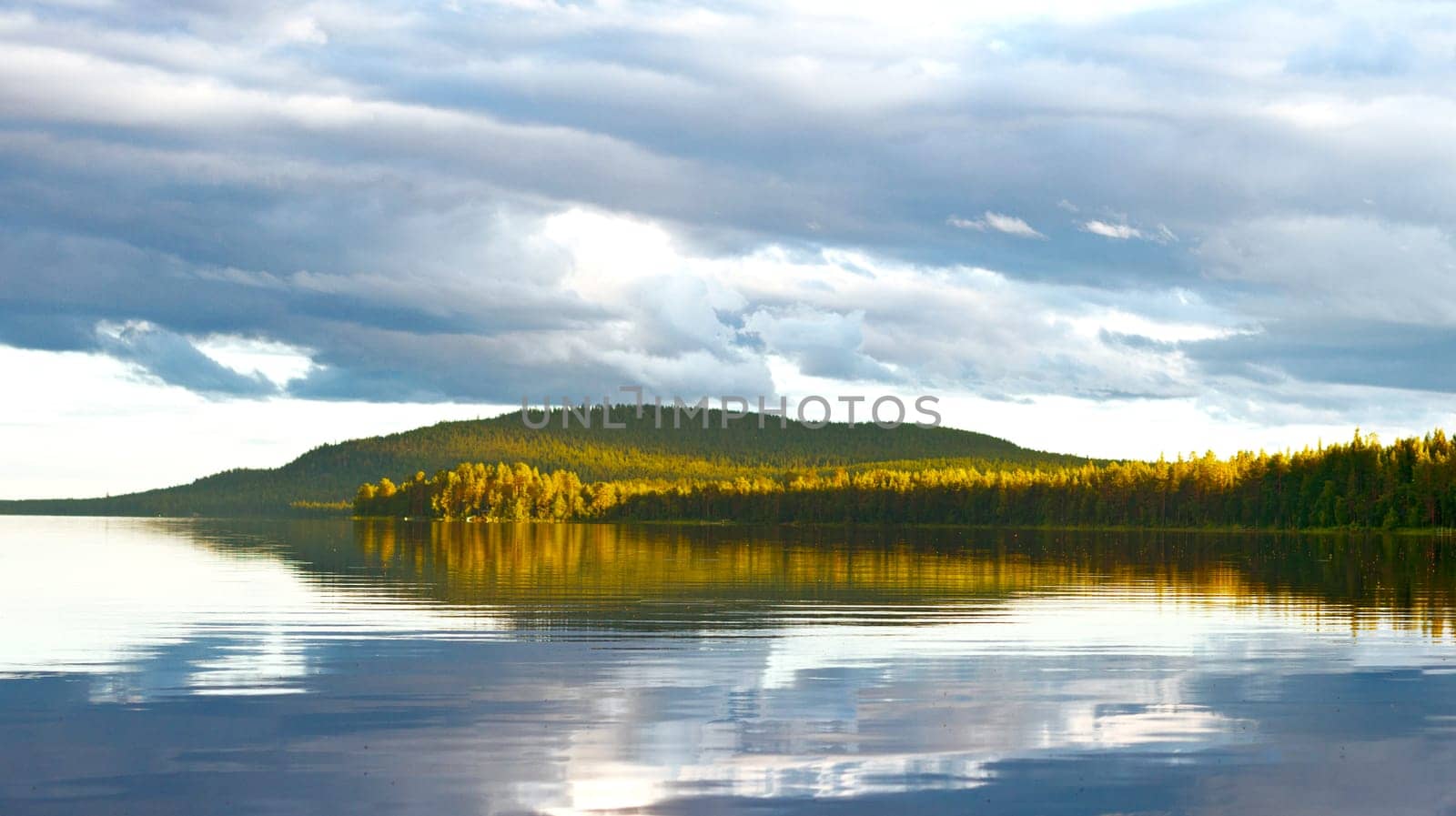 wild forest illuminated by setting sun on lake shore