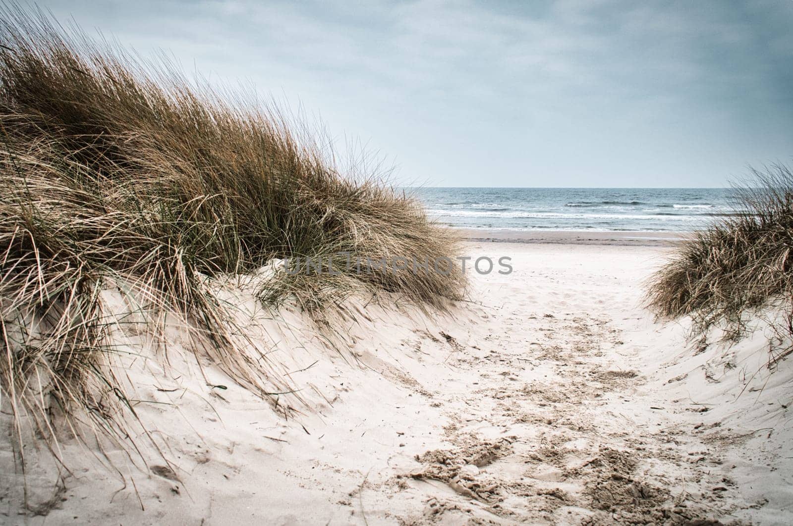 Beach crossing on the island of Usedom to the Baltic Sea. White sand and dune grass. Nature photo from a German island