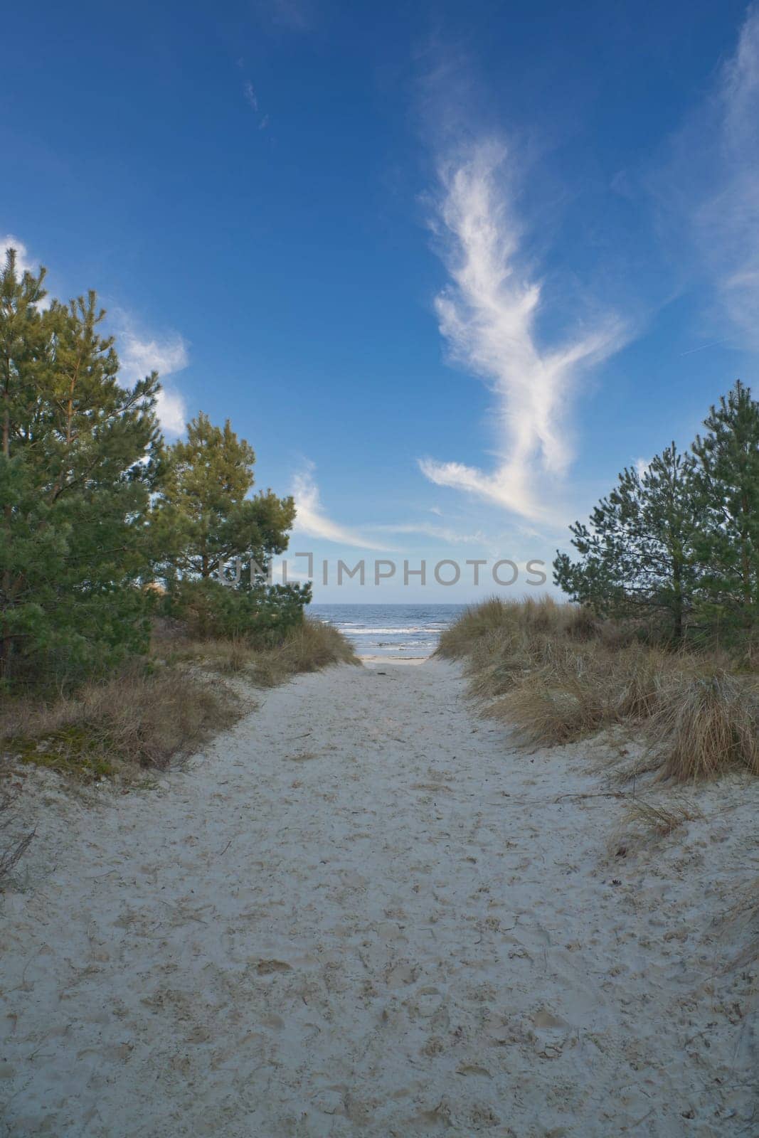 Beach crossing on the island of Usedom to the Baltic Sea. White sand and dune grass. Nature photo from a German island