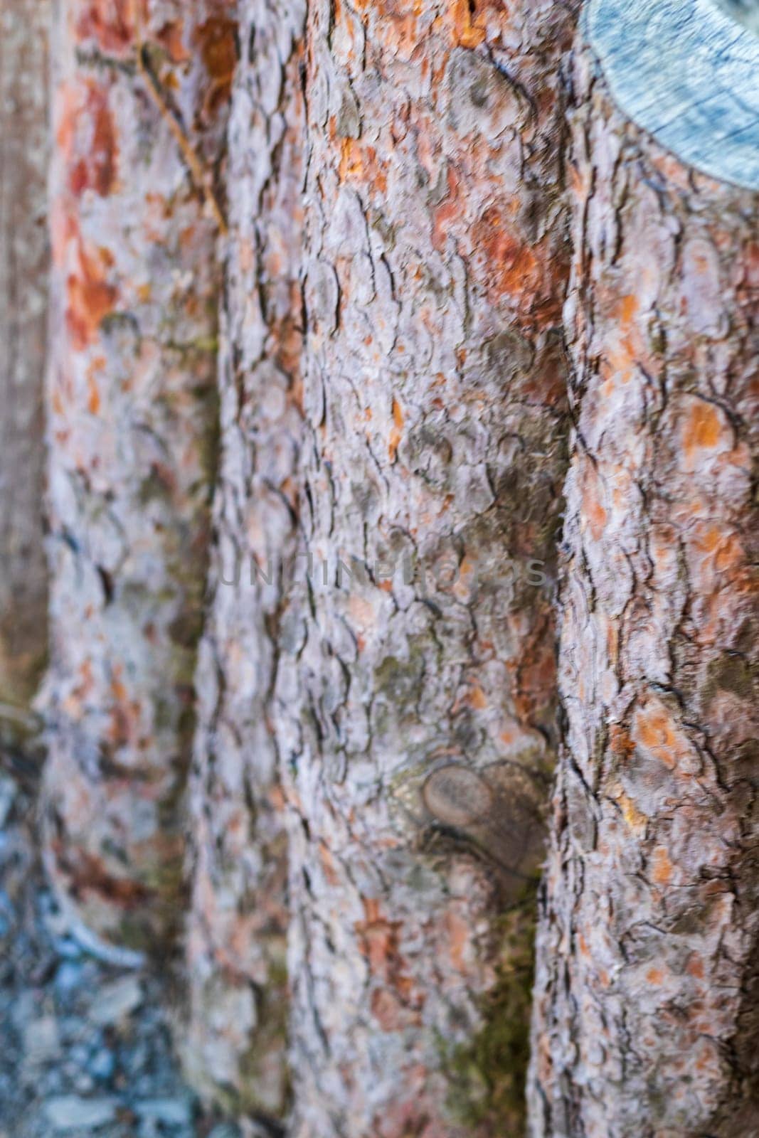 Close up shot of the wooden logs