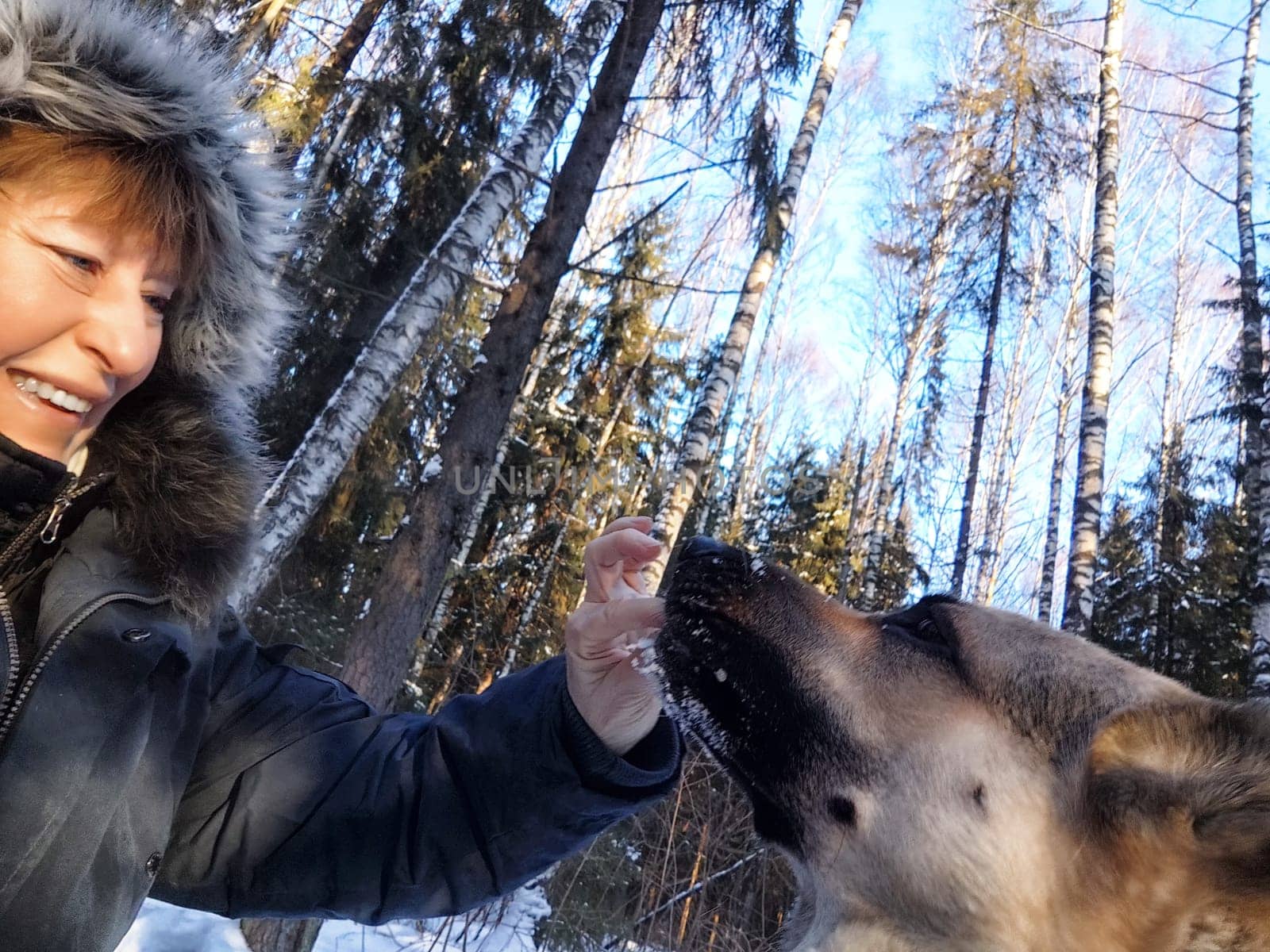 A woman takes a joyful selfie with her German Shepherd dog in a beautiful winter forest filled with trees.