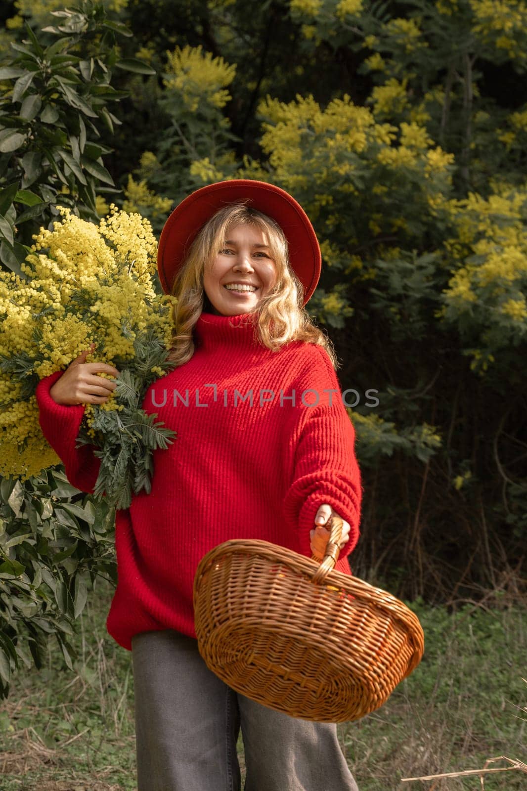 Smiling woman in red sweater holds mimosa blossoms and wicker basket. She stands amidst yellow mimosa bushes outdoors.