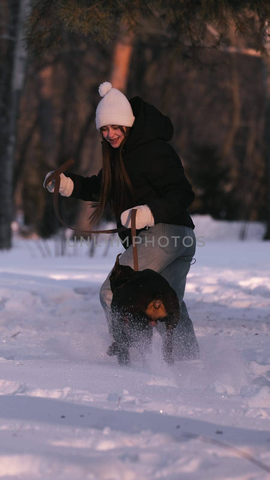 playing with a dog in nature. Doberman puppy with his owner. running with a puppy in the forest. winter frosty day in nature. puppy playing with its owner. raising a dog.