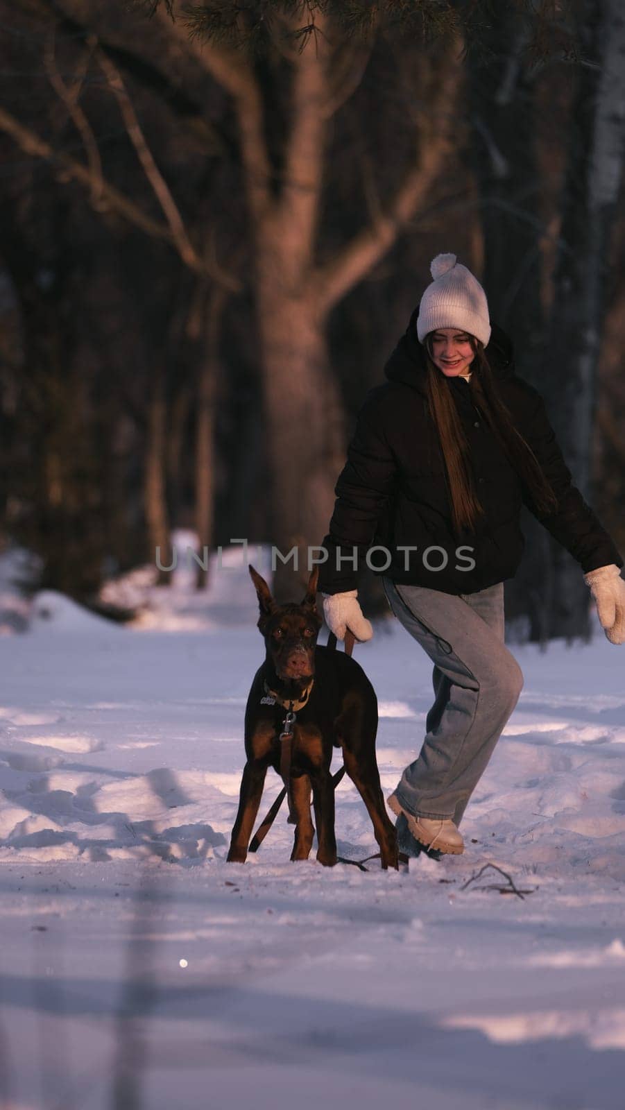 playing with a dog in nature. Doberman puppy with his owner. running with a puppy in the forest. winter frosty day in nature. puppy playing with its owner. raising a dog.
