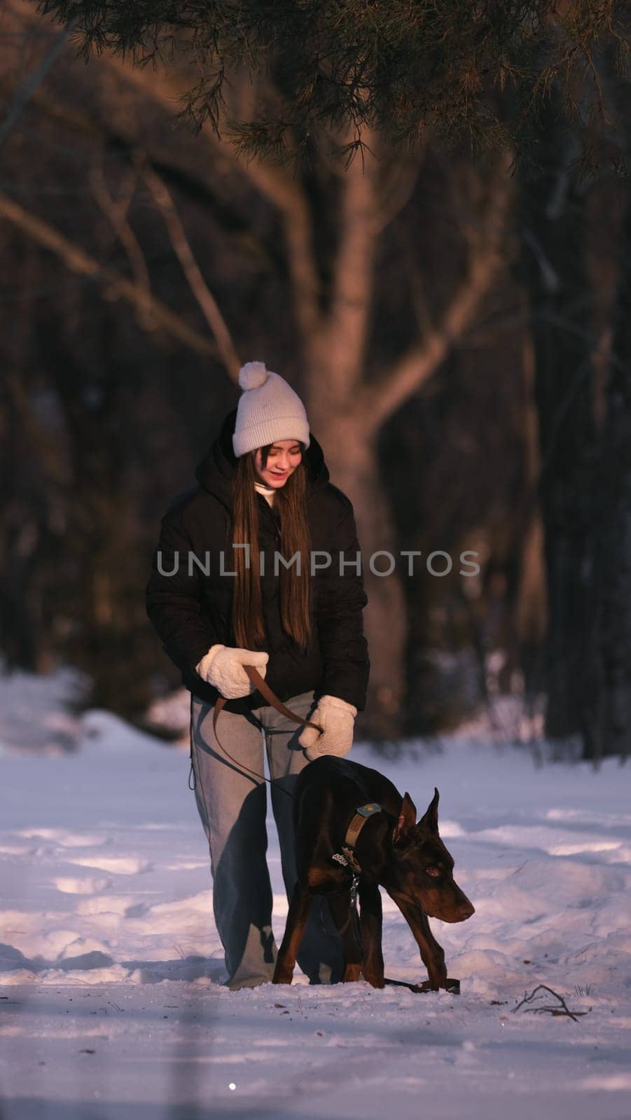 playing with a dog in nature. Doberman puppy with his owner. running with a puppy in the forest. winter frosty day in nature. puppy playing with its owner. raising a dog.