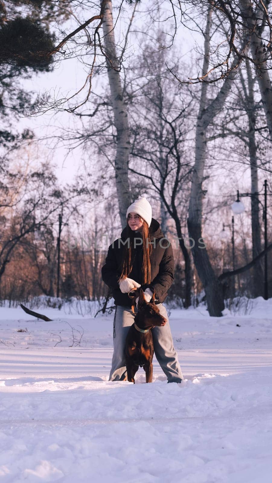playing with a dog in nature. Doberman puppy with his owner. running with a puppy in the forest. winter frosty day in nature. puppy playing with its owner. raising a dog.