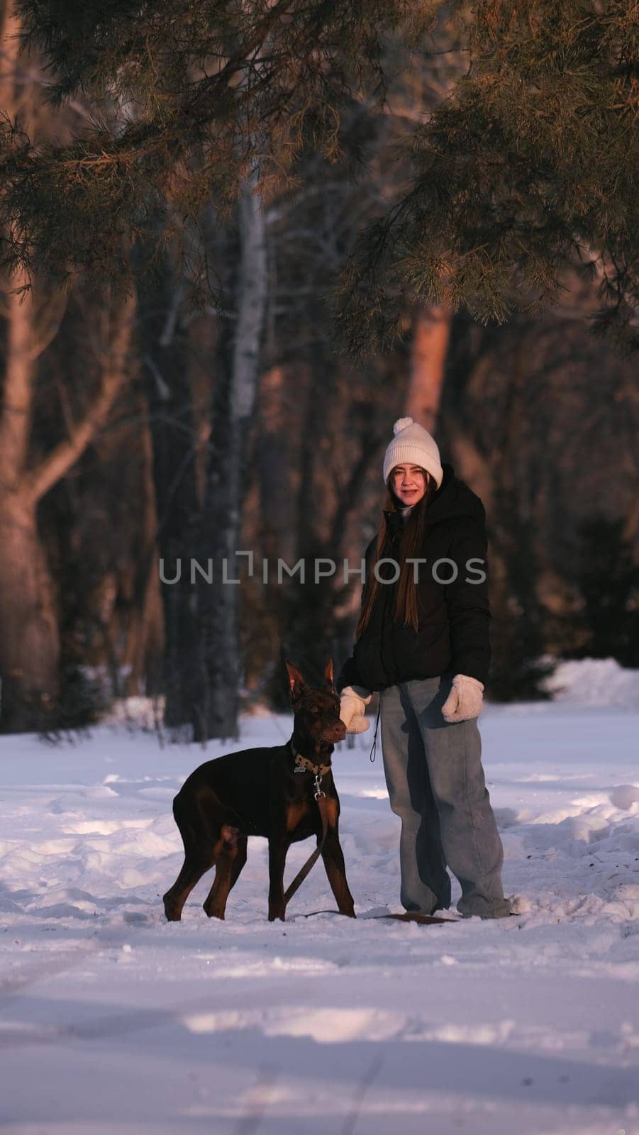 playing with a dog in nature. Doberman puppy with his owner. running with a puppy in the forest. winter frosty day in nature. puppy playing with its owner. raising a dog.