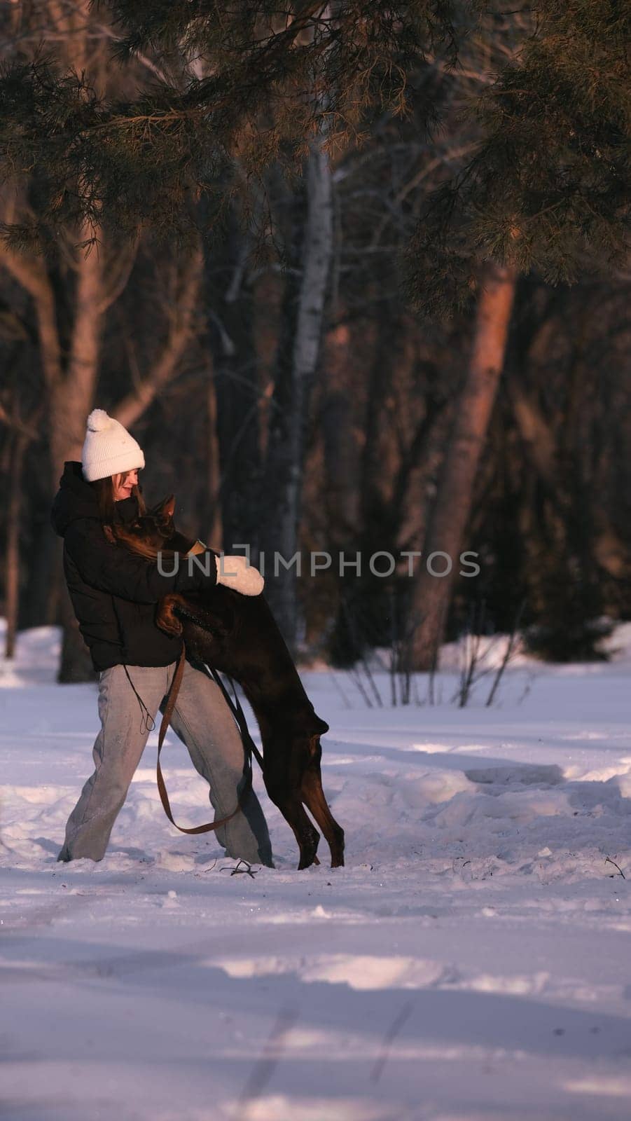playing with a dog in nature. Doberman puppy with his owner. running with a puppy in the forest. winter frosty day in nature. puppy playing with its owner. raising a dog.