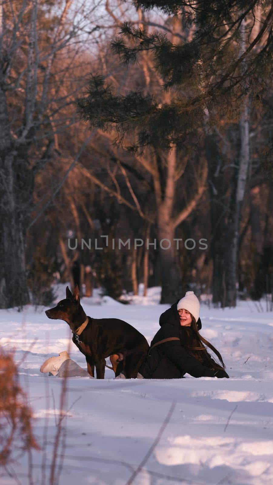 playing with a dog in nature. Doberman puppy with his owner. running with a puppy in the forest. winter frosty day in nature. puppy playing with its owner. raising a dog.