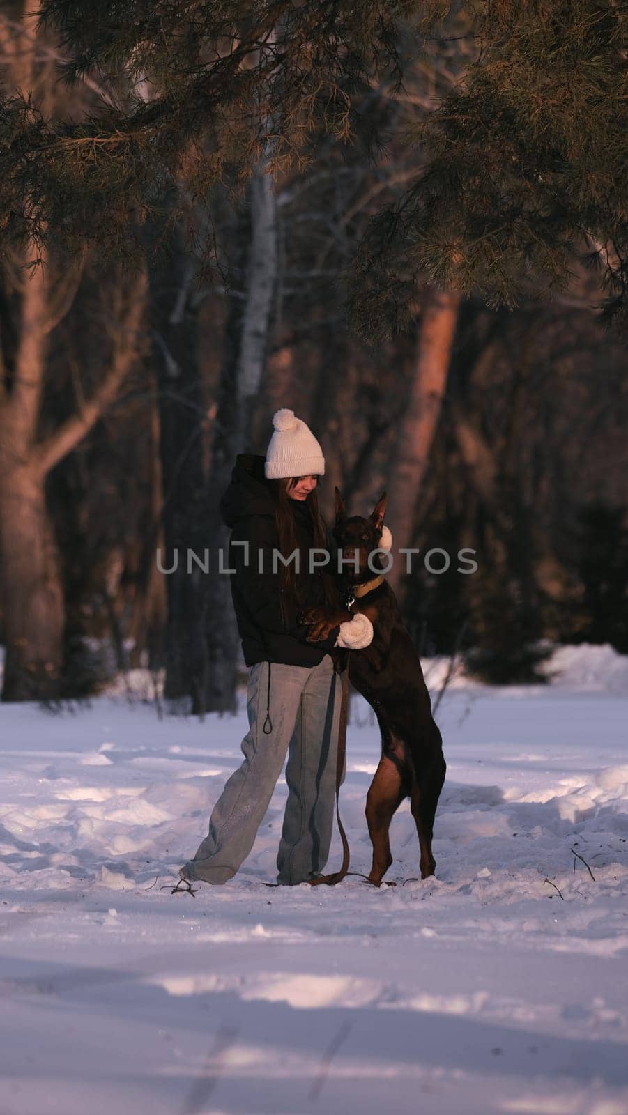 playing with a dog in nature. Doberman puppy with his owner. running with a puppy in the forest. winter frosty day in nature. puppy playing with its owner. raising a dog.