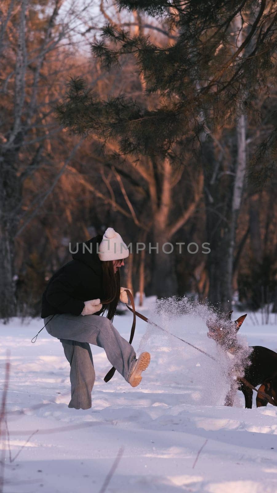 playing with a dog in nature. Doberman puppy with his owner. running with a puppy in the forest. winter frosty day in nature. puppy playing with its owner. raising a dog.