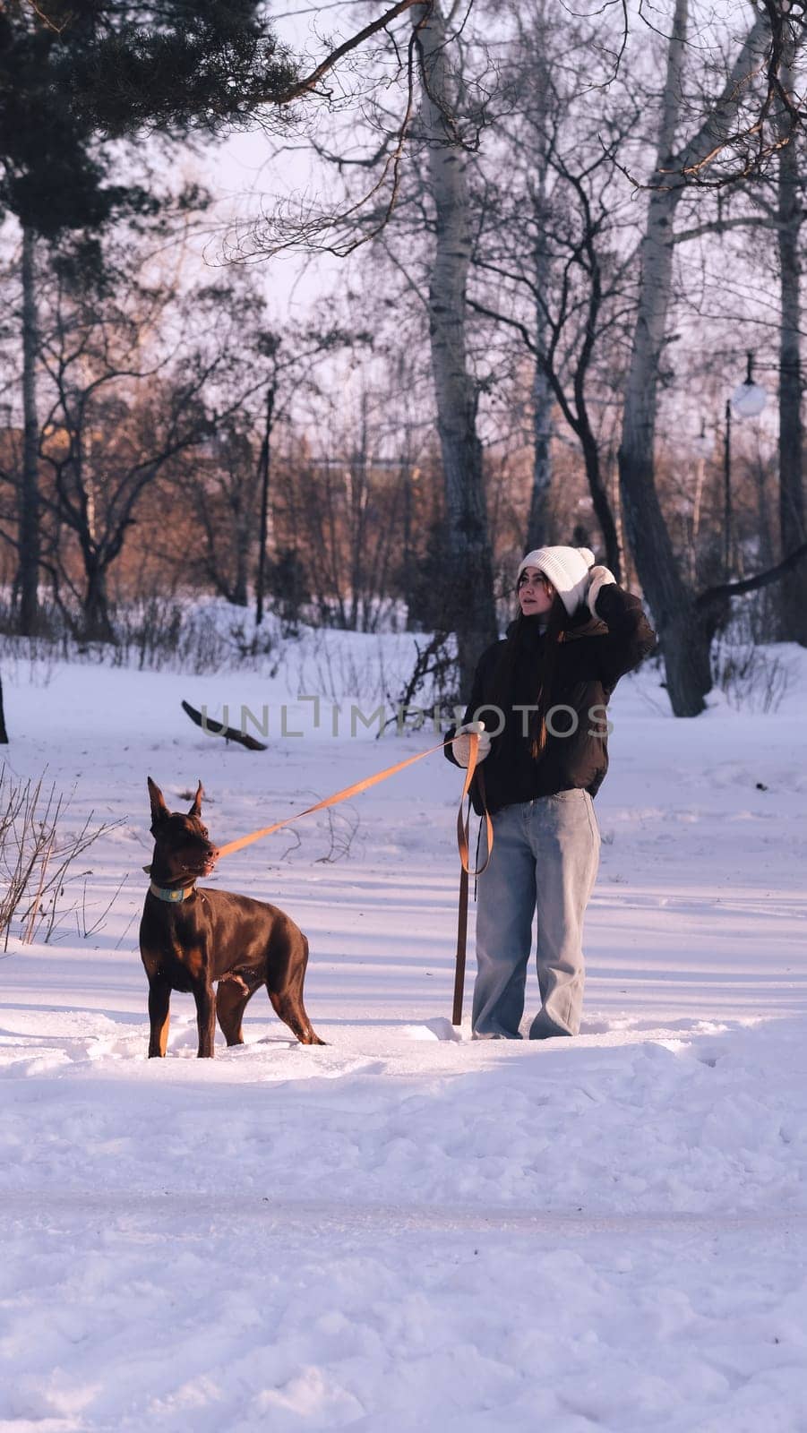 playing with a dog in nature. Doberman puppy with his owner. running with a puppy in the forest. winter frosty day in nature. puppy playing with its owner. raising a dog.