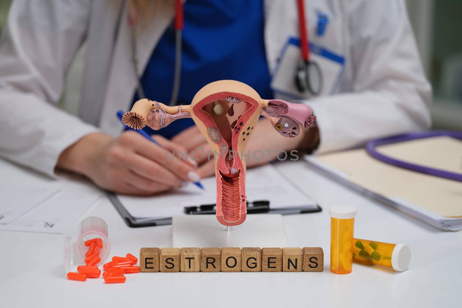 This visual illustrates the uterus and estrogens, highlighting their role in women reproductive health