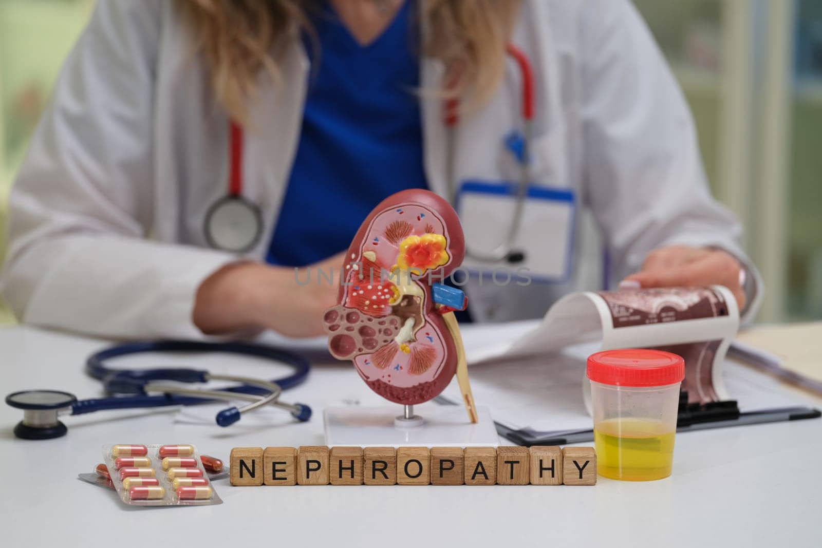 Delve deeper into nephropathy while emphasizing kidney health through various models and advanced diagnostic tools