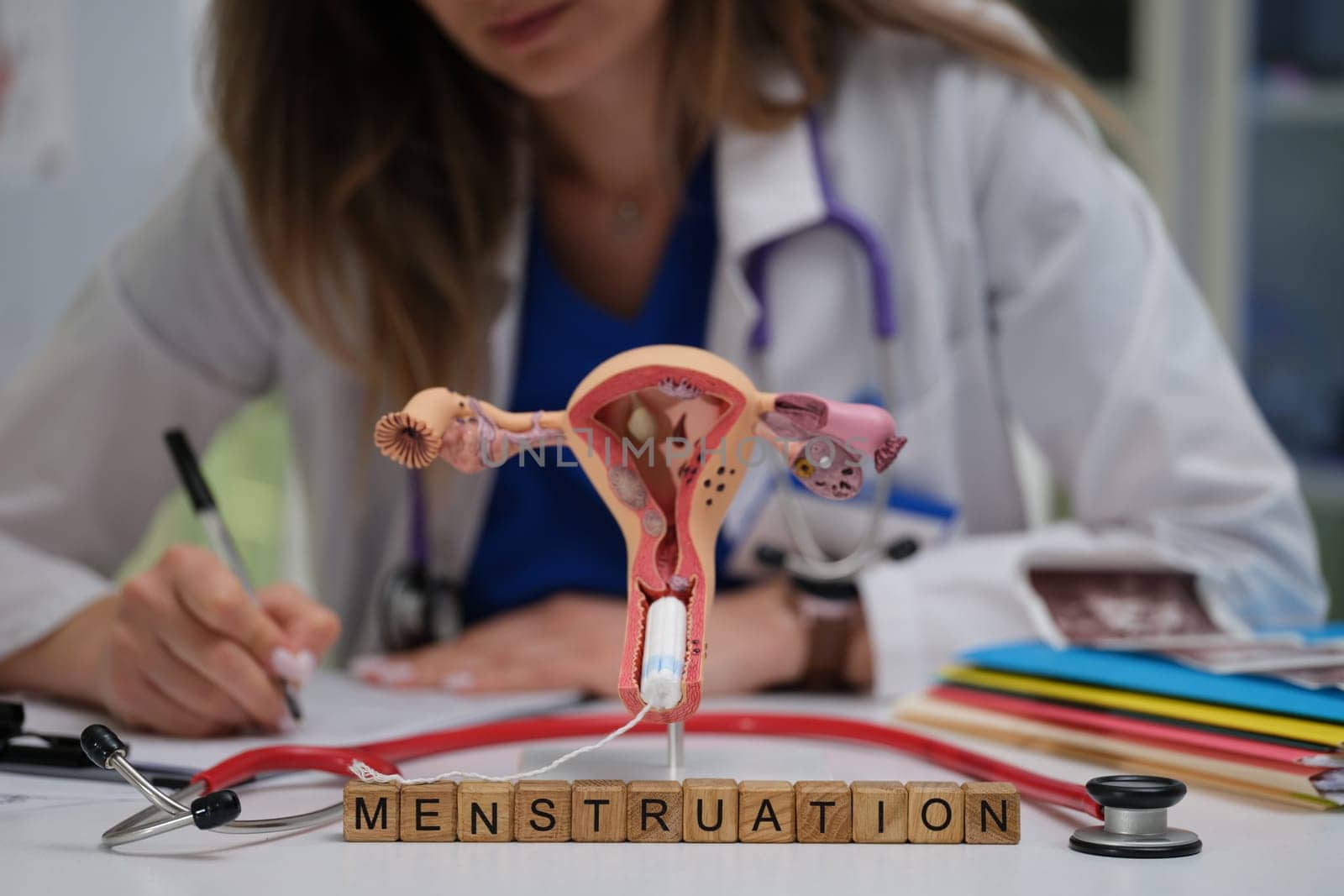 A skilled healthcare professional writing detailed notes along with a model that depicts the process of menstruation