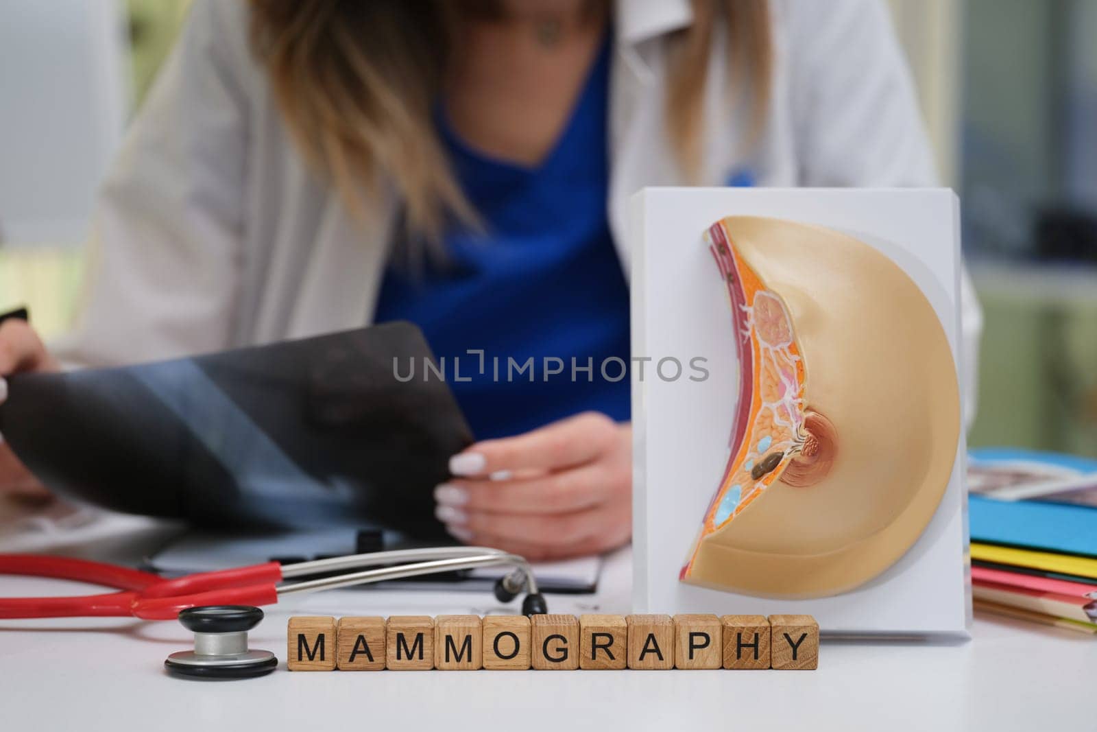 A healthcare professional examines mammogram results with a breast model to promote awareness and education