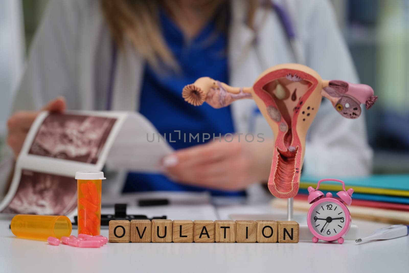 Delving into the topic of ovulation in women health, including the use of anatomical models and educational resources