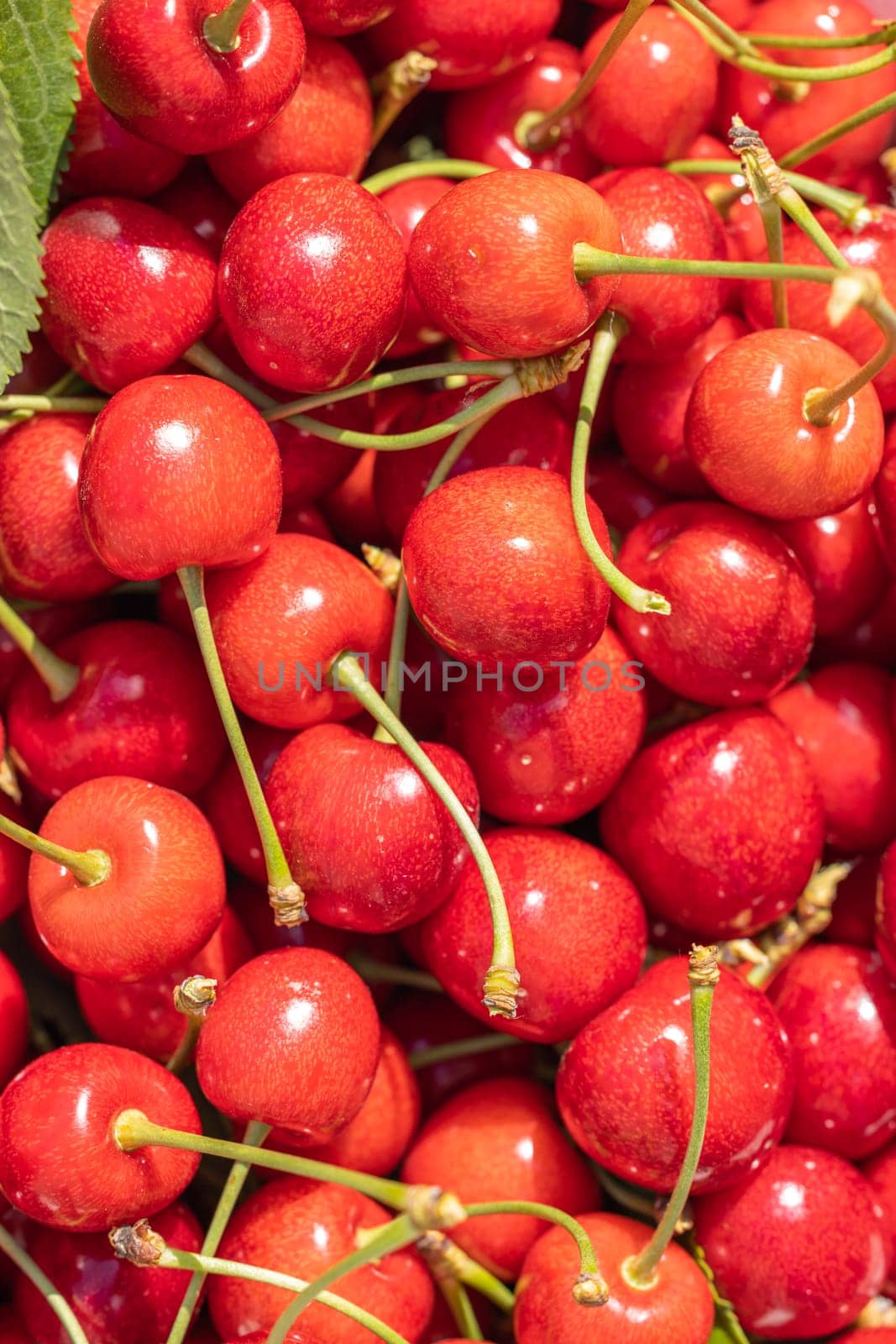 Ripe red cherries with green stems create a vibrant and appetizing display, perfect for showcasing freshness and flavor