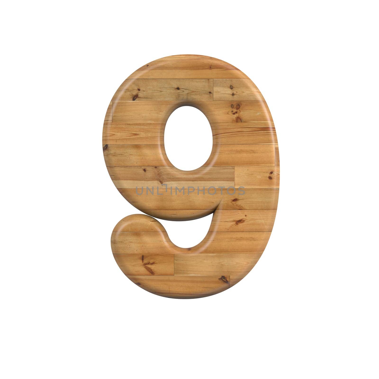Wood number 9 - 3d pine digit isolated on white background. This alphabet is perfect for creative illustrations related but not limited to Decoration, nature, wood...