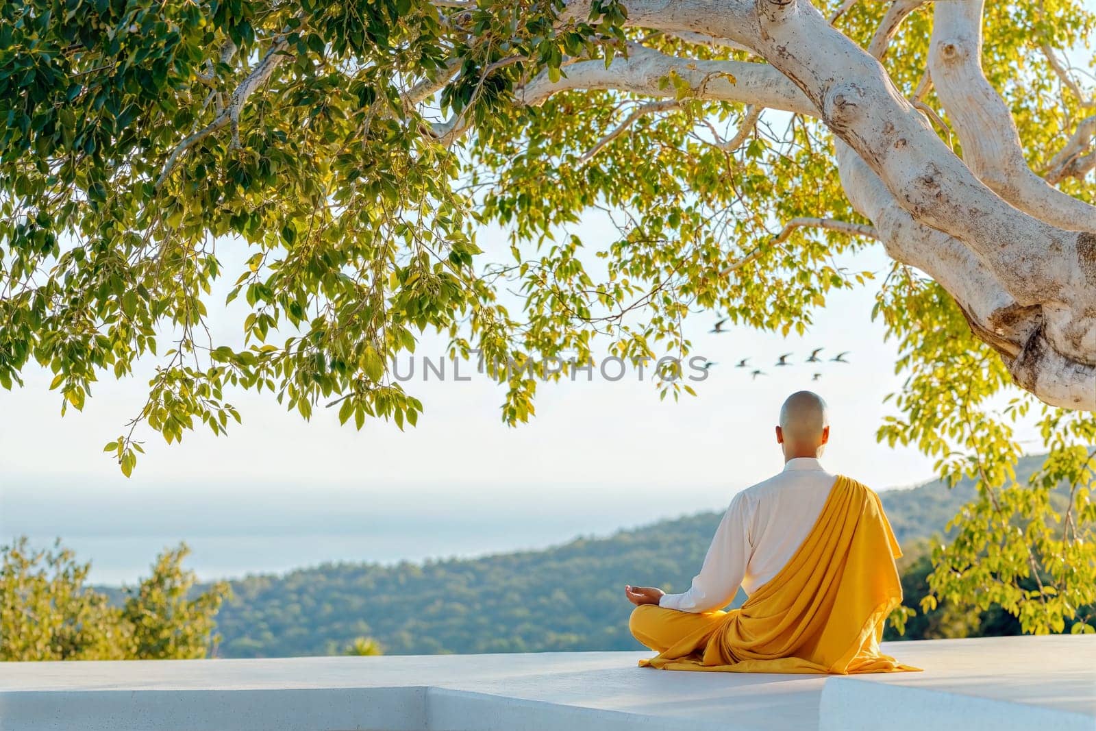 A serene scene of a Jain monk meditating under a large tree with birds flying in the peaceful, lush green nature, capturing tranquility and spirituality.