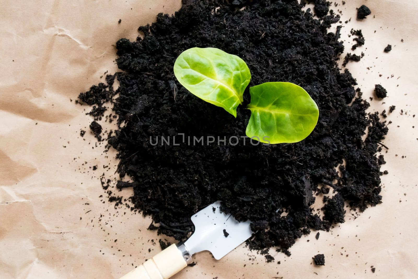 Young plant growing in dark soil with garden trowel on brown paper background.