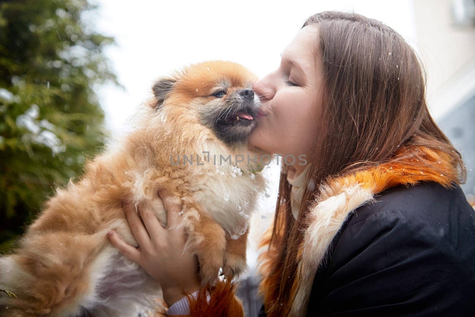 A happy Pomeranian is being showered with affection by its owner during a snowy winter outing.