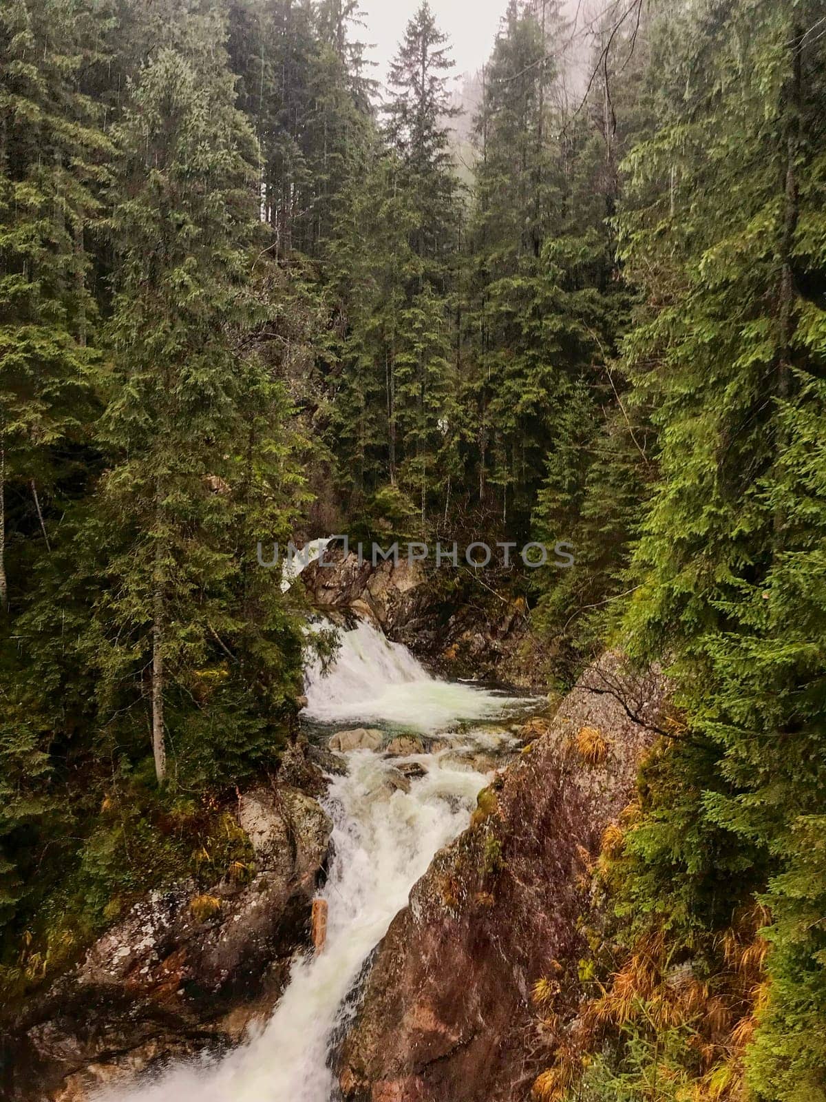 small waterfall in foggy forest in Zakopane in rainy weather. High quality photo