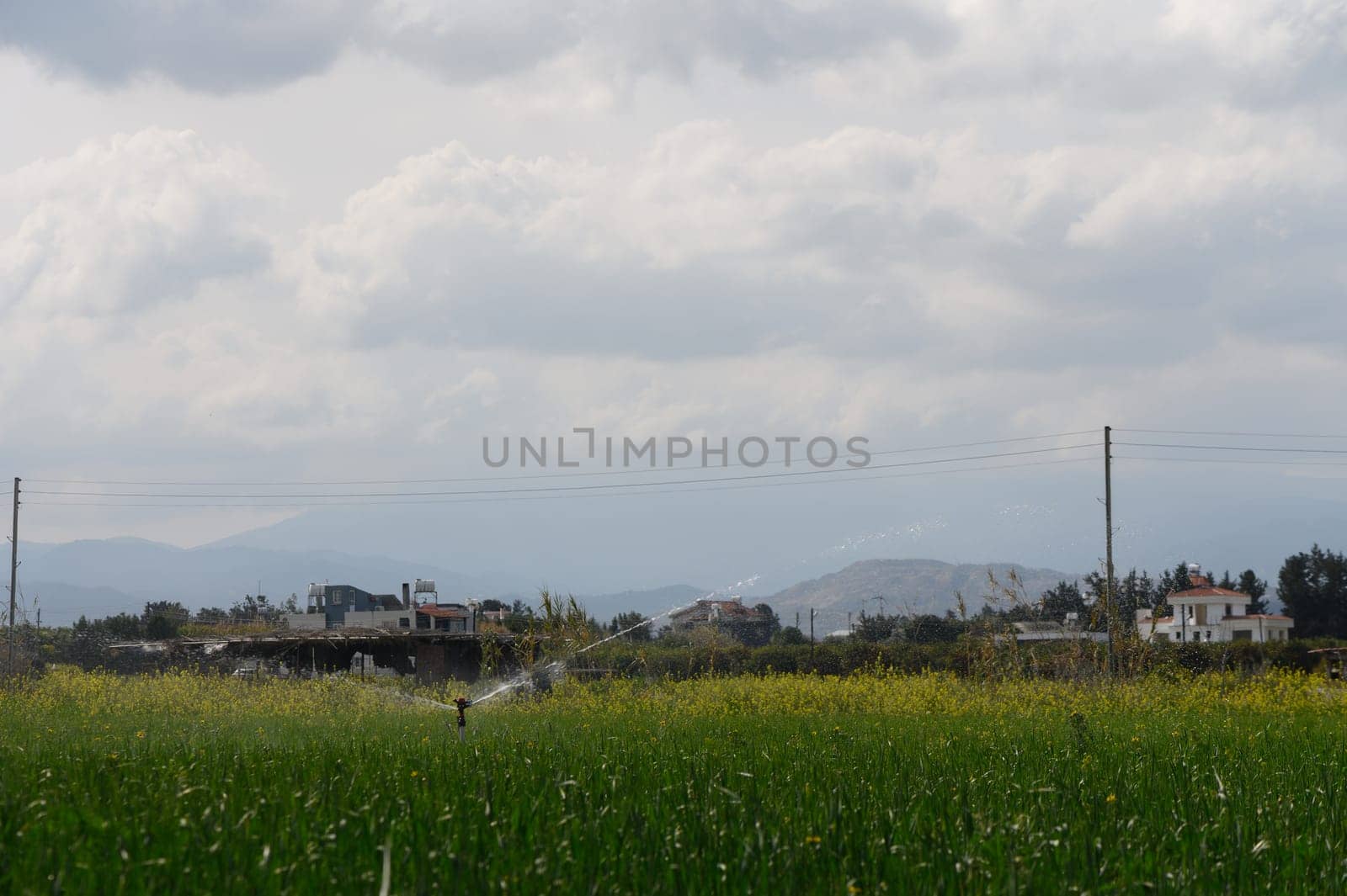 Irrigation system revitalizes vibrant fields while dark clouds loom over a peaceful rural setting.