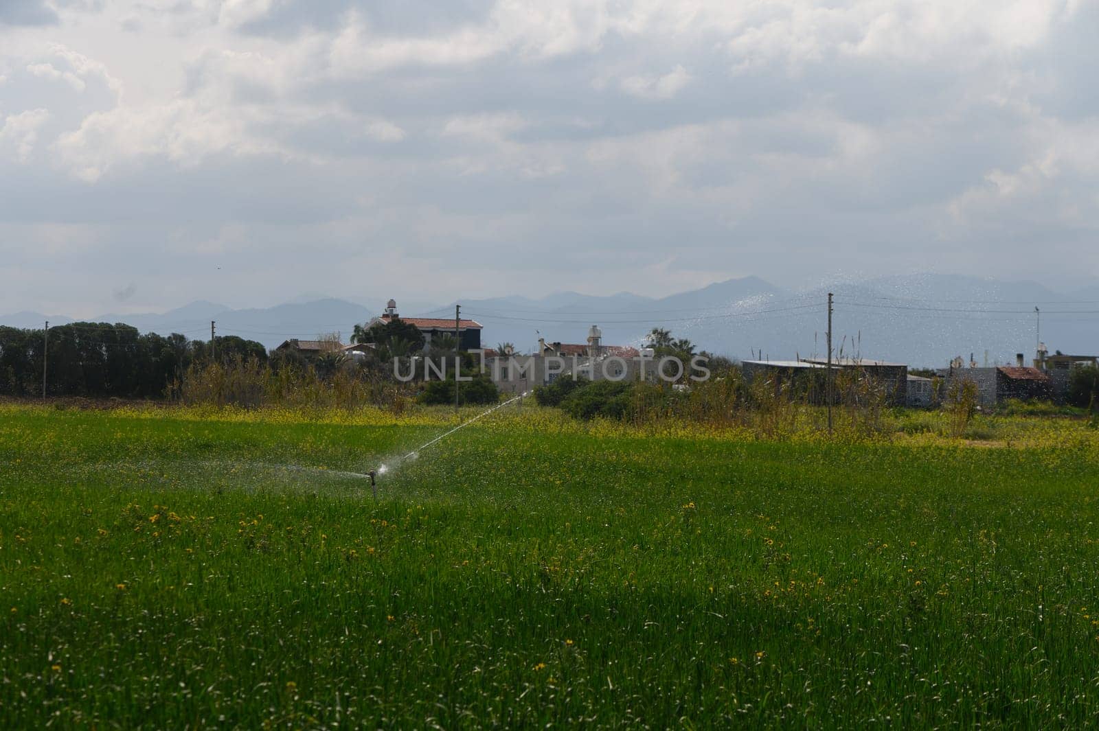 Irrigation systems nourish vibrant green fields, enhancing the landscape against a backdrop of distant mountains.