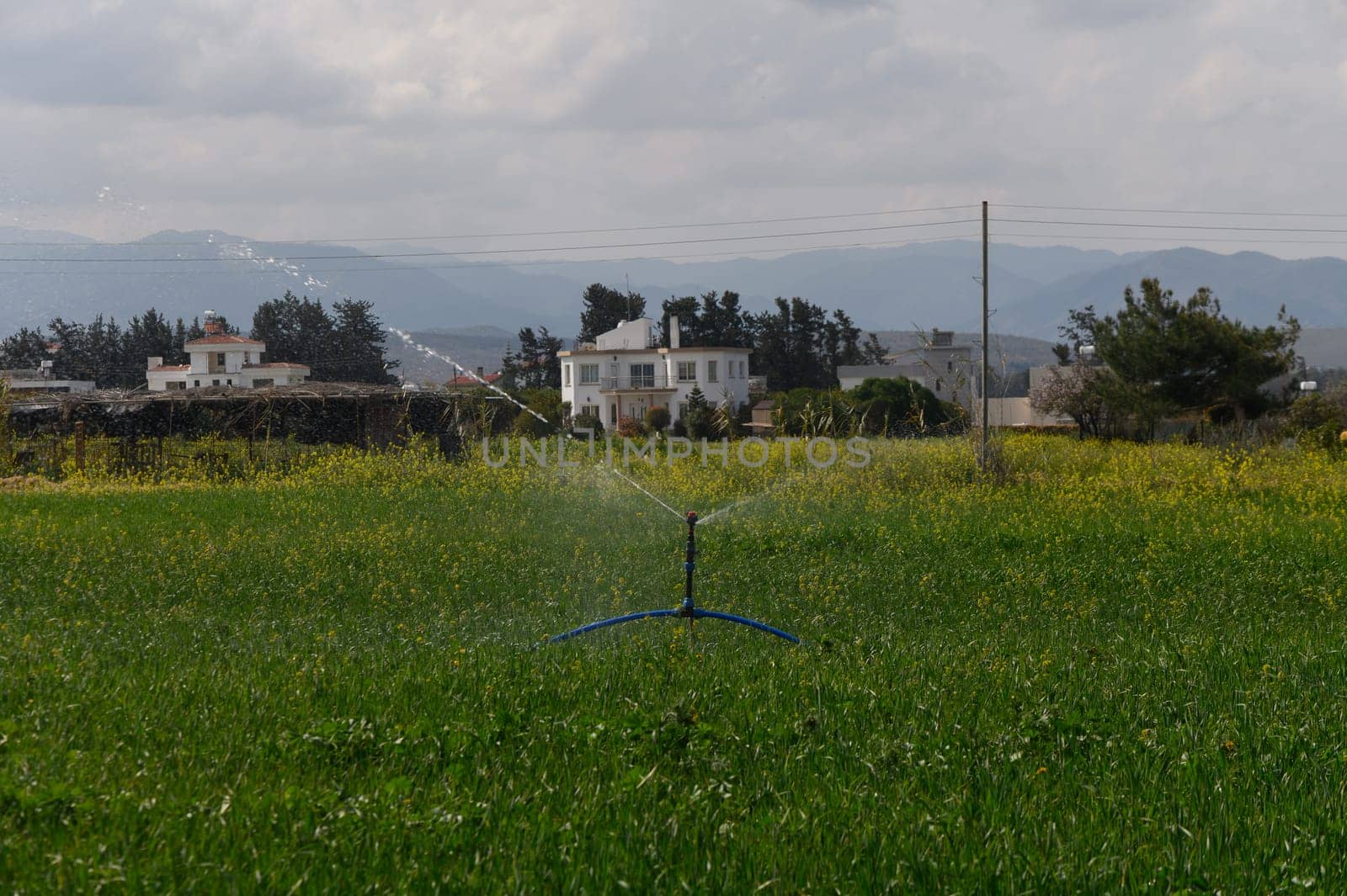 Watering the lush green field enhances growth while the distant mountains create a serene backdrop.