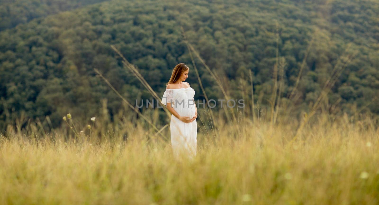 Young pregnant woman relaxing outside in nature at summer day