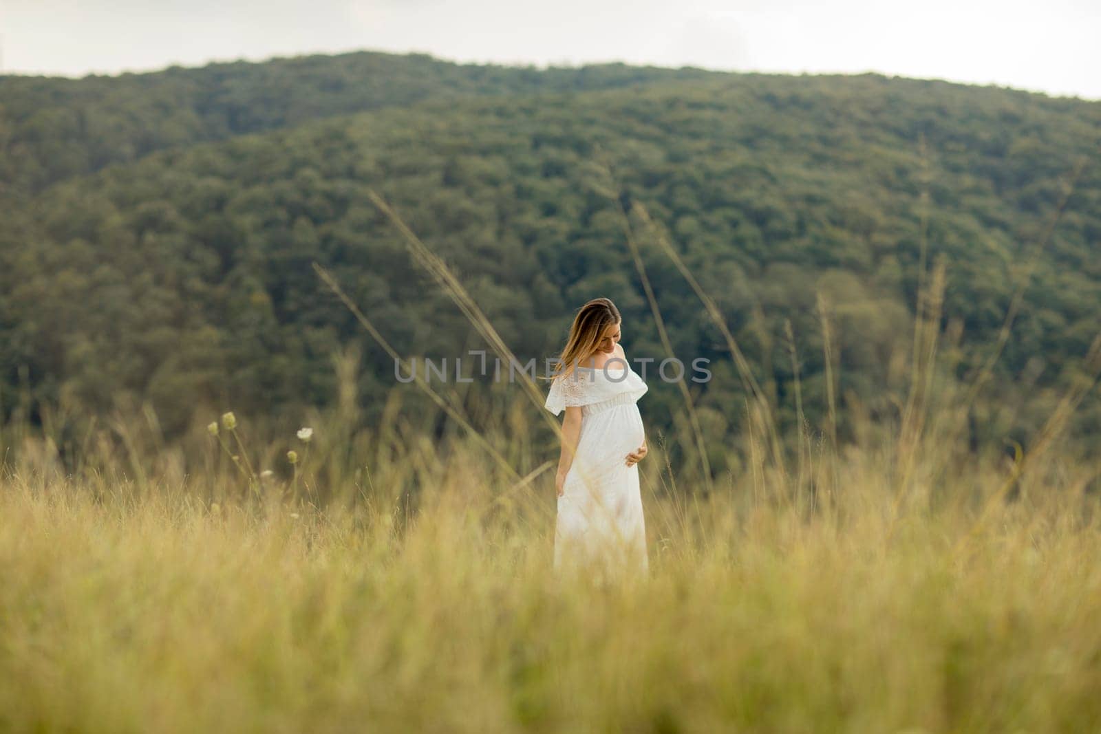 Young pregnant woman relaxing outside in nature at summer day
