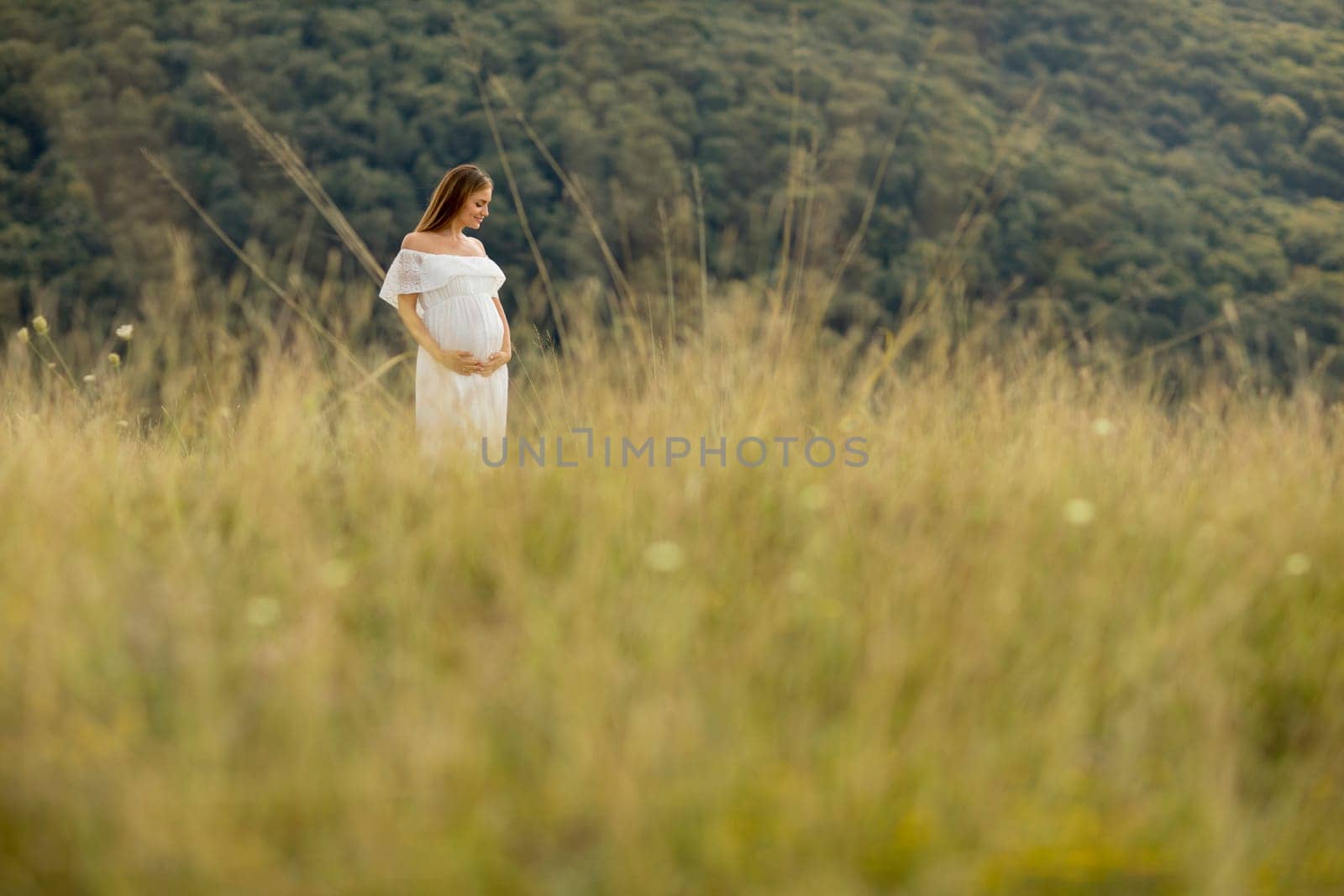 Young pregnant woman relaxing outside in nature at summer day