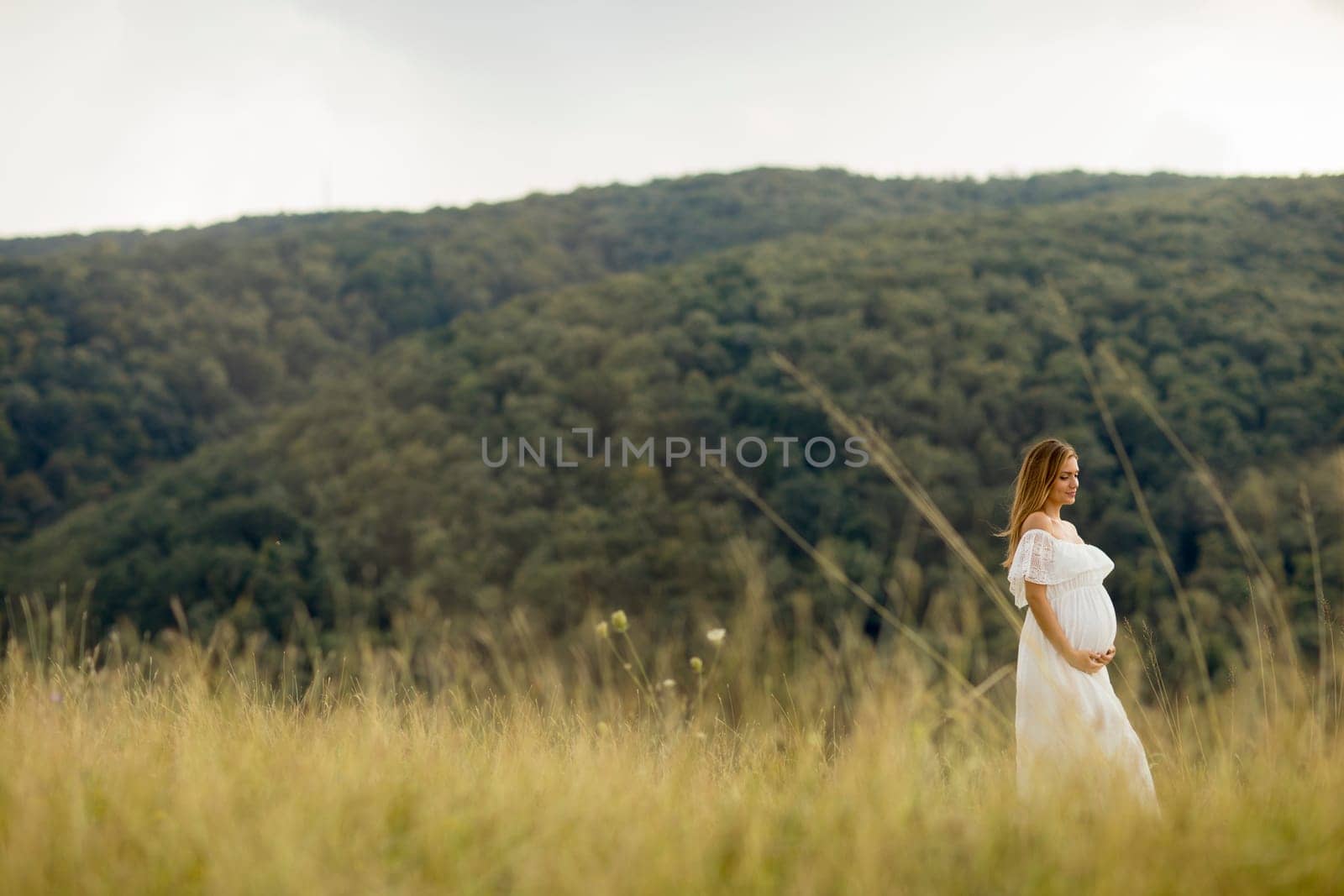 Young pregnant woman relaxing outside in nature at summer day