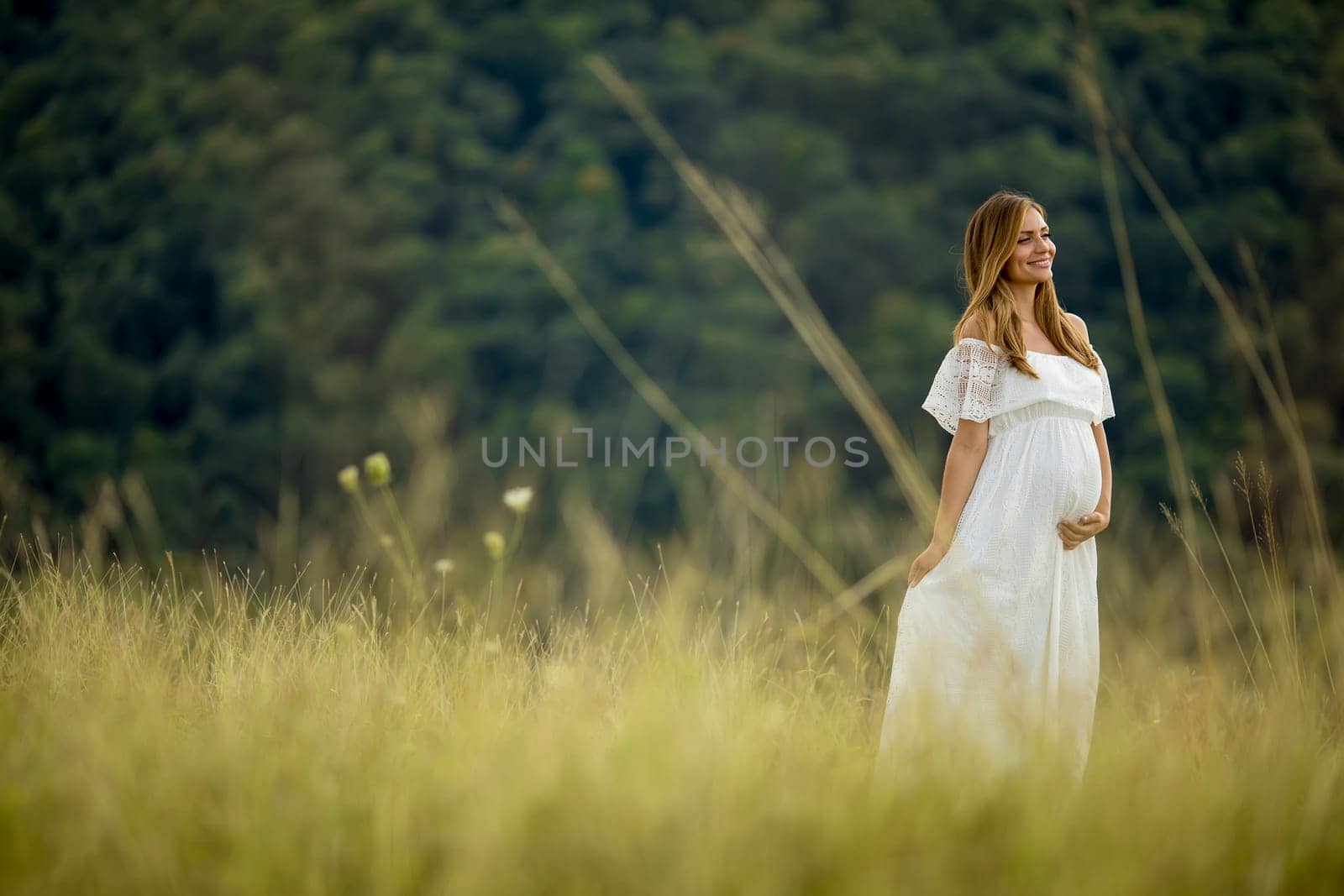 Young pregnant woman relaxing outside in nature at summer day